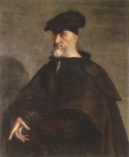 Sebastiano del Piombo portrait of andrea doria china oil painting image